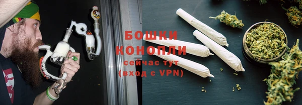 крисы Богородицк