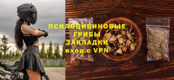 стаф Богданович