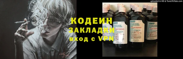 стаф Богданович