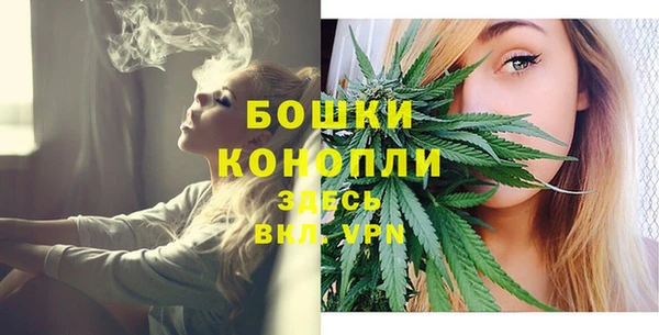 крисы Богородицк