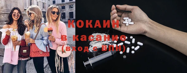 стаф Богданович